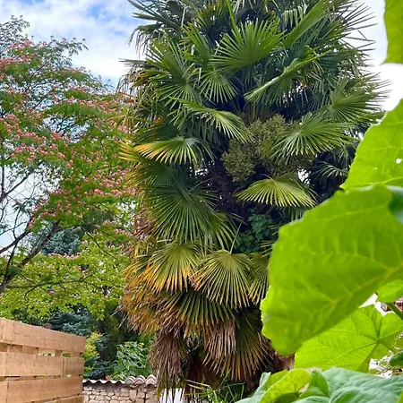 La Cachette Saint-Jean-d'Angely